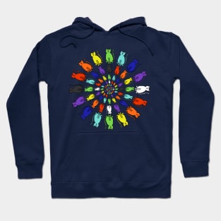 Ever Decreasing Circles of Rainbow Cats Hoodie